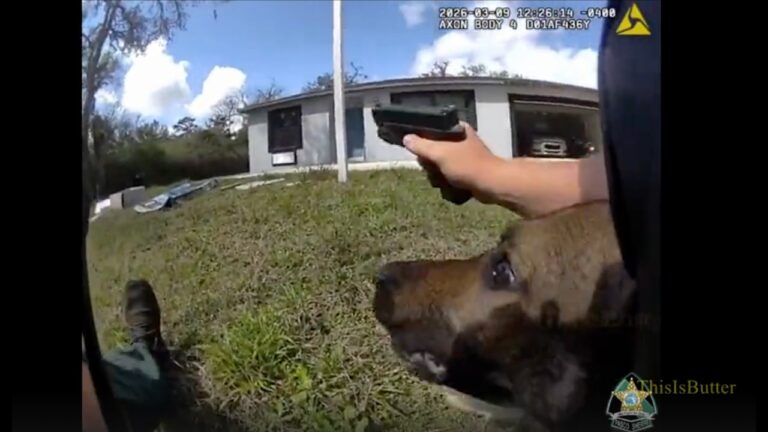 Bodycam: Florida Deputy Shot Engaging Suspect Who Just Murdered a Neighbor
