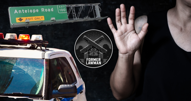 Domestic Violence Suspect Killed by Sacramento Deputy Following Freeway Chase