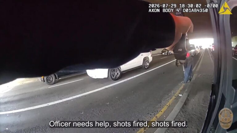 He Took A Bat To A Gunfight | LAPD Bodycam