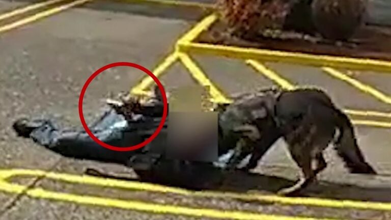 K9 Took Him Down, He Pointed a Gun at Officers | Portland Police Raw Body Camera Southeast Portland
